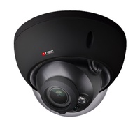 NI-DM54ZS / 4 MP IP Dome Kamera schwarz mit Motorzoom